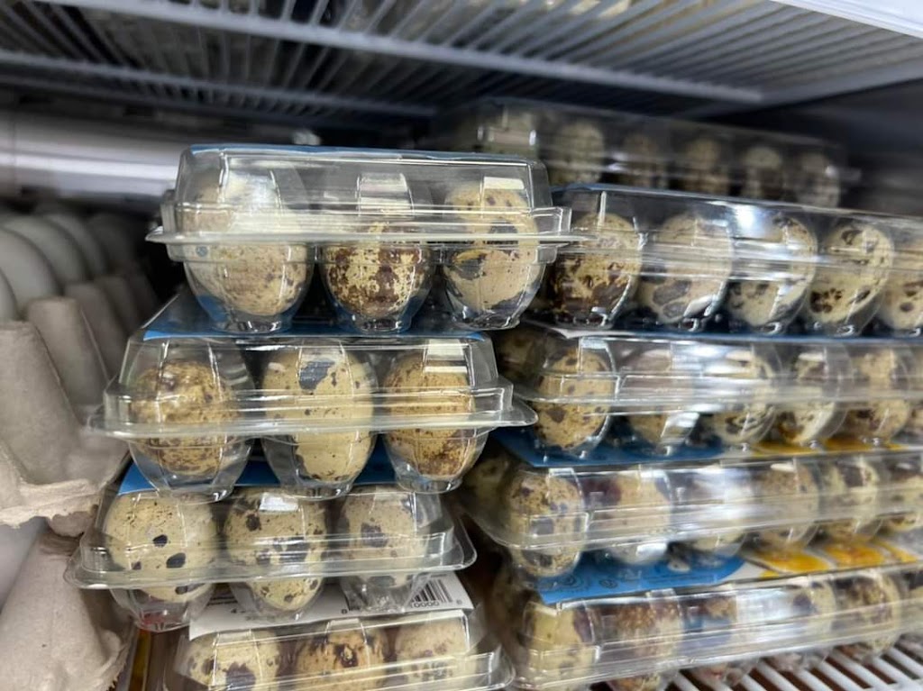 Spice Shop | 75 Champlain St, Dieppe, NB E1A 1N5, Canada | Phone: (506) 204-2249