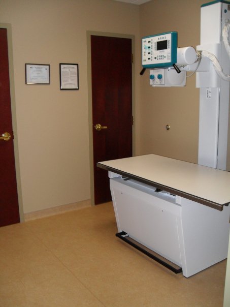 Elmwood Small Animal Hospital | 1606 Kenmore Ave, Buffalo, NY 14216, USA | Phone: (716) 876-6023