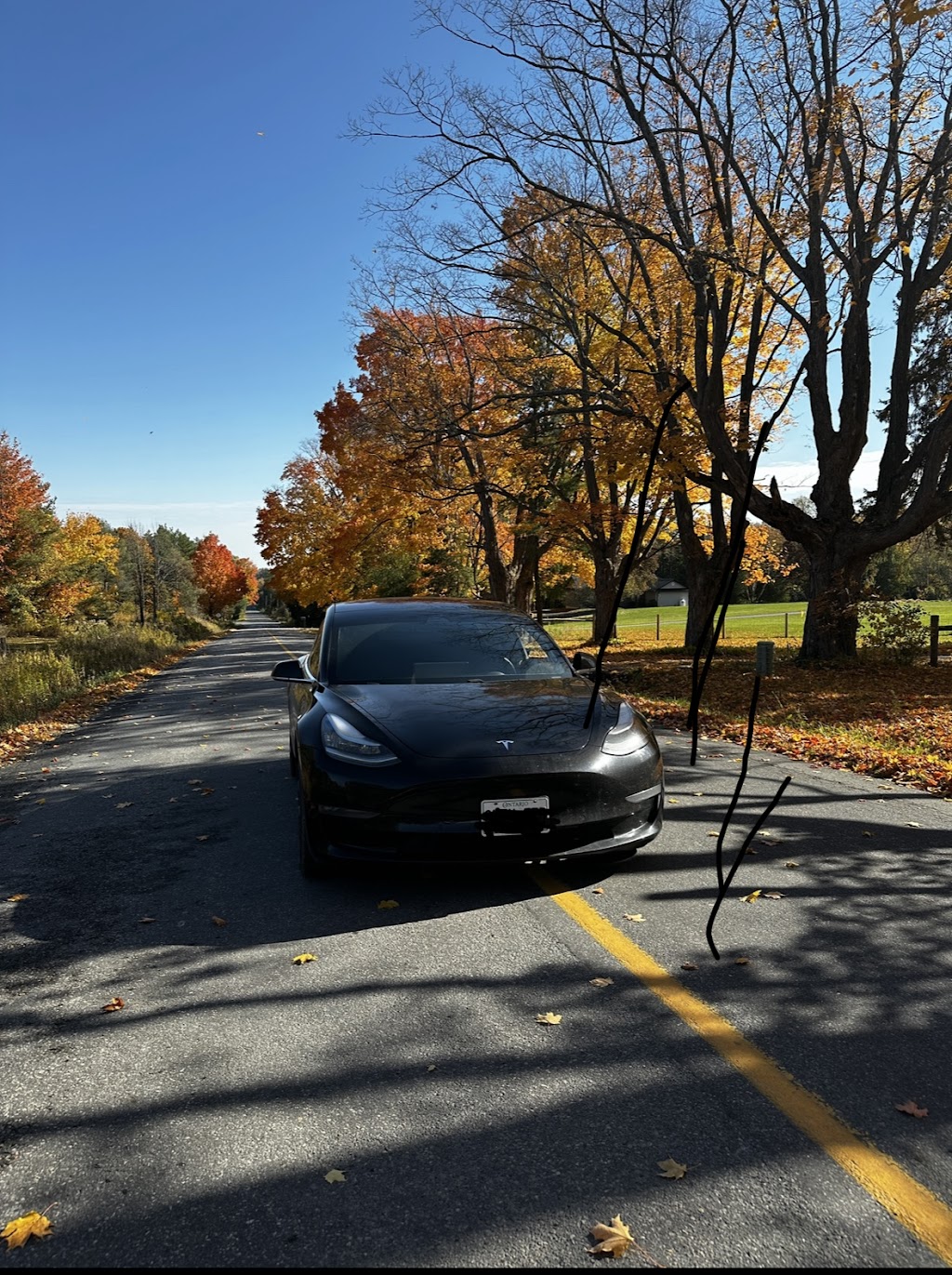 Tesla Collision | 891 Progress Ct, Oakville, ON L6L 6K1, Canada | Phone: (289) 813-0630