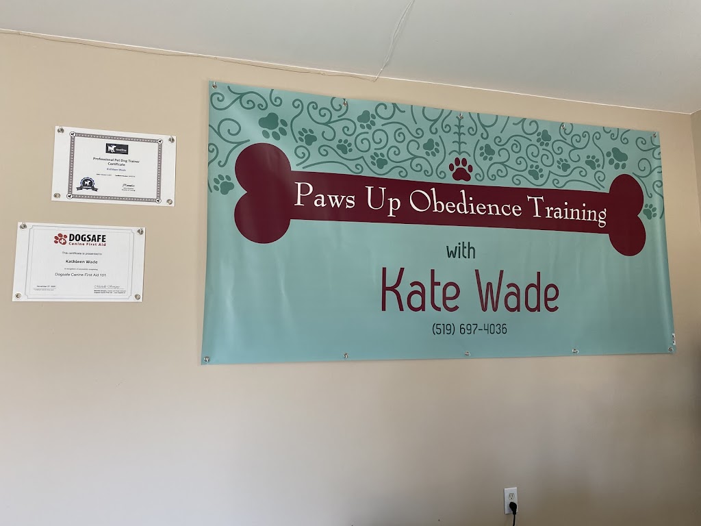 Paws Up Obedience Training | 714660 Middletown Line, Woodstock, ON N4S 7W3, Canada | Phone: (519) 697-4036