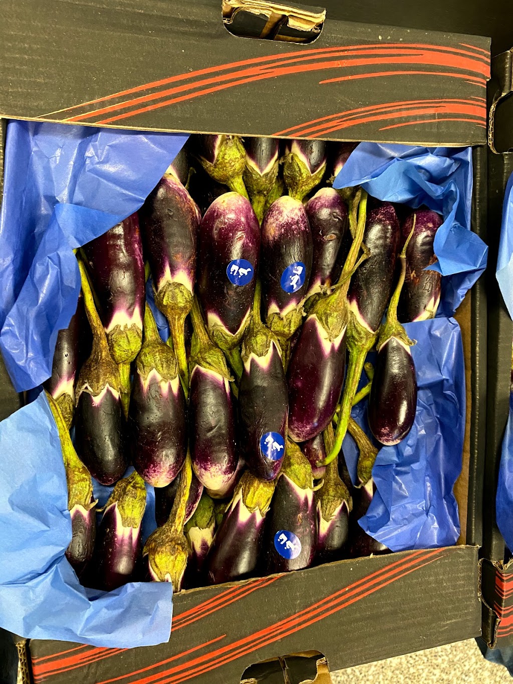 Cleopatra Market | 3765 Loggers Way #112, Kinburn, ON K0A 2H0, Canada | Phone: (613) 291-1187