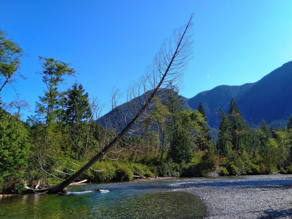 Lower Falls Trail | Lower Falls Trail, Maple Ridge, BC V0M, Canada