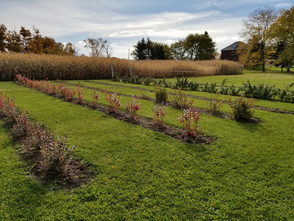 Tall Post Craft Cider | 1170 Hendershot Rd, Hannon, ON L0R 1P0, Canada | Phone: (905) 351-7611