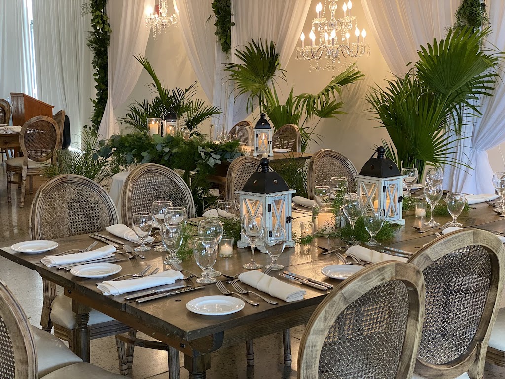 Urban Jungle Cambridge | 149 Hespeler Rd, Cambridge, ON N1R 3G9, Canada | Phone: (519) 624-8284