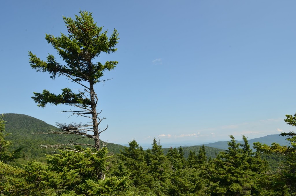 Mont Sutton Inc (administration) | 671 Rue Maple, Sutton, QC J0E 2K0, Canada | Phone: (450) 538-2339