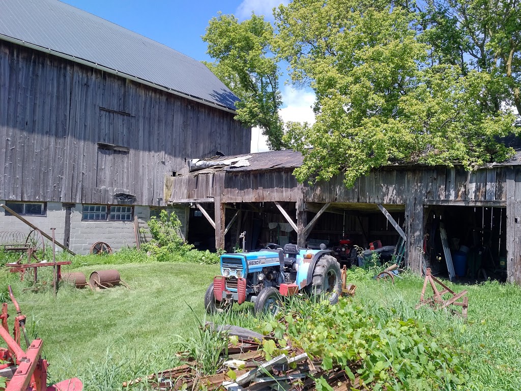 Spring View Farms | 11680 Durham Regional Rd 1, Uxbridge, ON L9P 1R2, Canada | Phone: (905) 852-2795