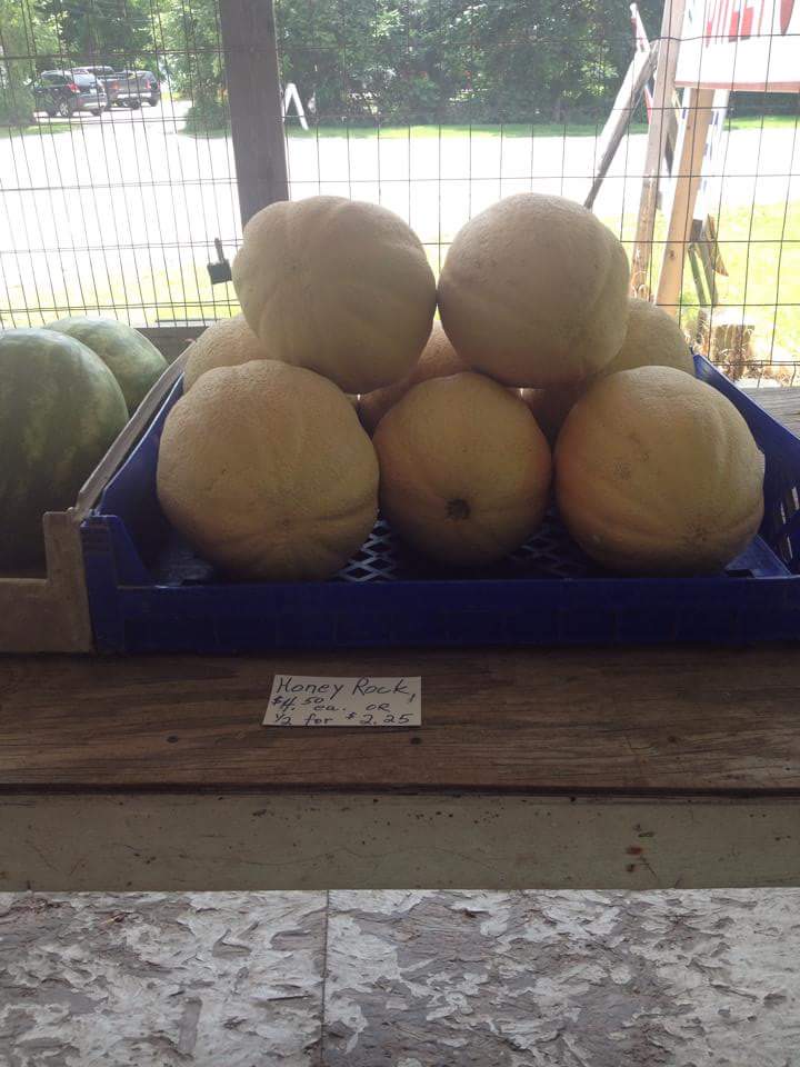 Debbies veggies and rotarius greenhouse | 10246 Dixie Hwy, Ira Township, MI 48023, USA | Phone: (586) 725-0831