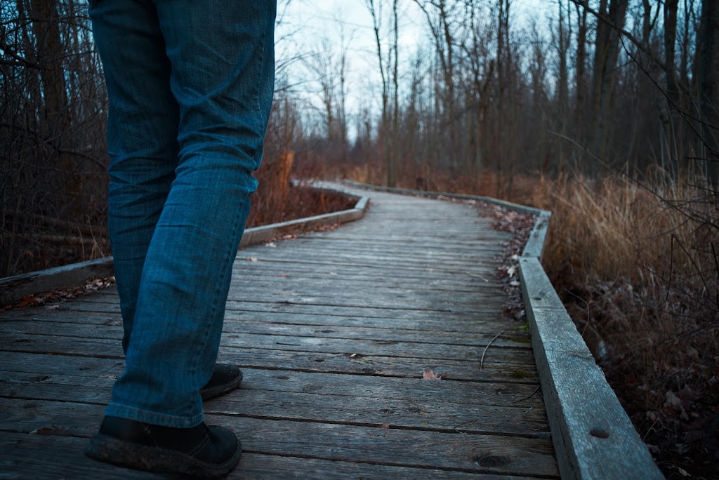 Dofasco 2000 Rail Trail | 204 Ridge Rd, Stoney Creek, ON L8J 2W1, Canada