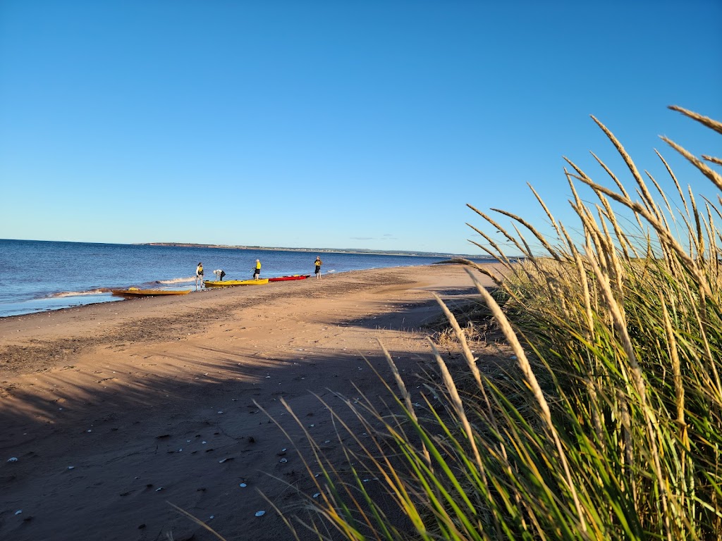 Malpeque Bay Kayak Tours | H75X+J9, Lower Malpeque, PE C0B 1M0, Canada | Phone: (902) 439-7885