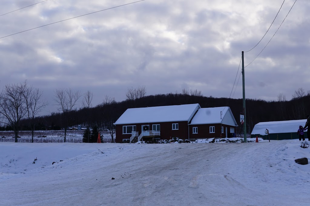Sapin de Noël, producteur darbre de Noël, Plantation Bernier. | 297 Chemin Brome, Fulford, QC J0E 1S0, Canada | Phone: (450) 534-2417