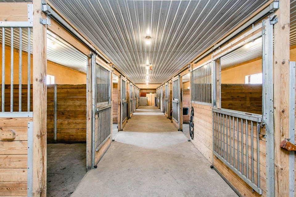 New Dawn Horizons | 1714 Flos Rd 10 E, Elmvale, ON L0L 1P0, Canada | Phone: (705) 715-2313