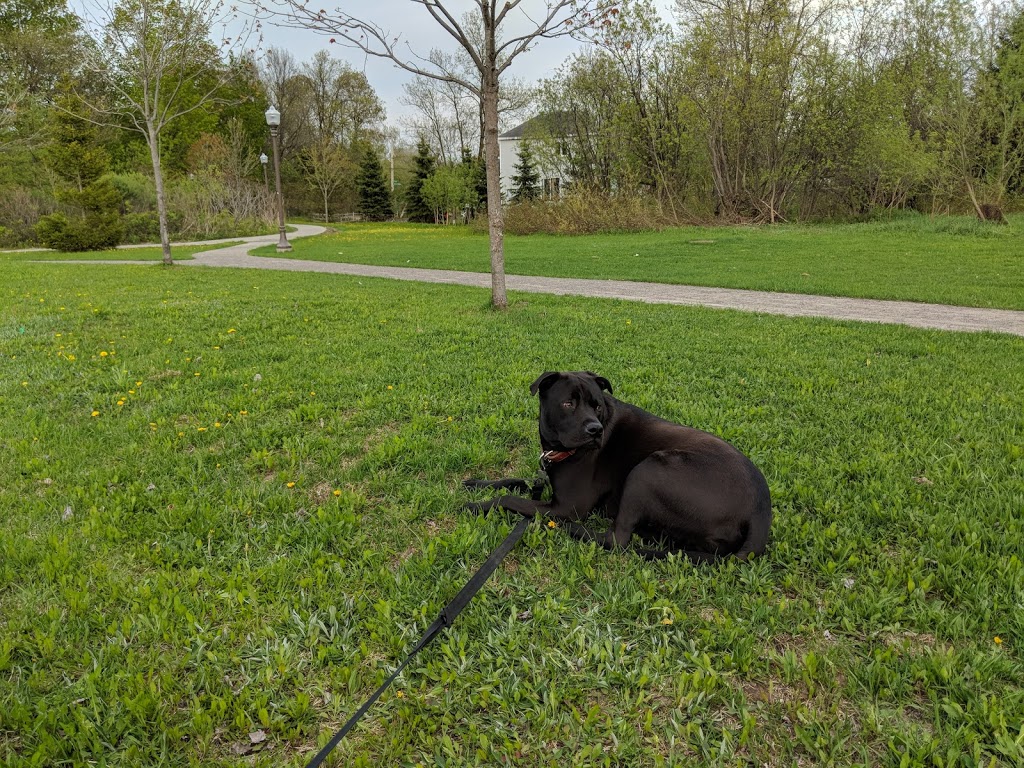Parc Les Primevères | 1459 Rue Félix Antoine Savard, Québec, QC G2G 1C2, Canada