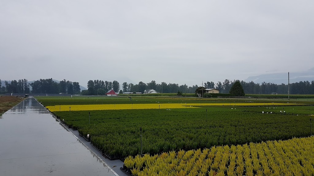 Qualitree Propagators Inc | 51546 Ferry Rd, Rosedale, BC V0X 1X2, Canada | Phone: (604) 794-3375