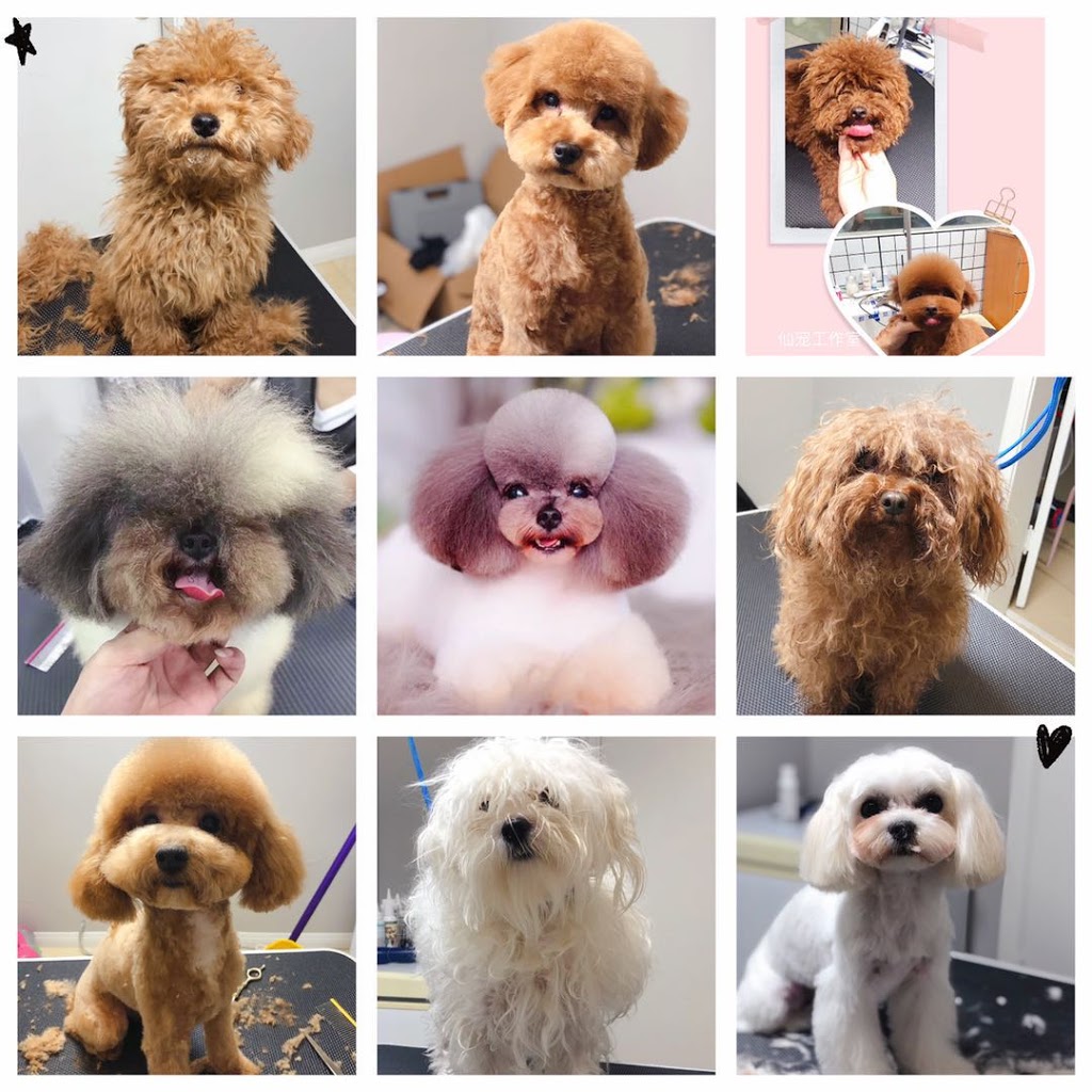 pawfect pet grooming 仙宠宠物美容 | 4933 Kersland Dr, Vancouver, BC V5Y 2M8, Canada | Phone: (778) 233-0266