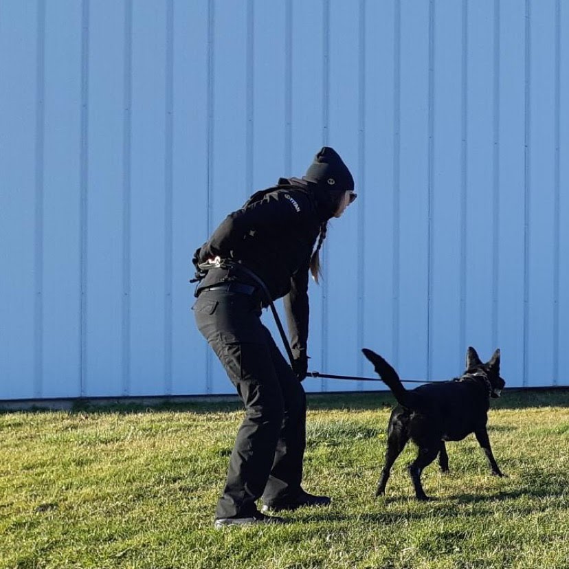 Titan Security Halifax | 2717 Joseph Howe Dr, Halifax, NS B3L 4T9, Canada | Phone: (902) 426-2811 ext. 7032