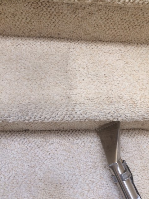 Kootenay Carpet Cleaning (+ Upholstery & Vehicle) | 208 Kimbrook Crescent, Kimberley, BC V1A 3A7, Canada | Phone: (250) 581-1560