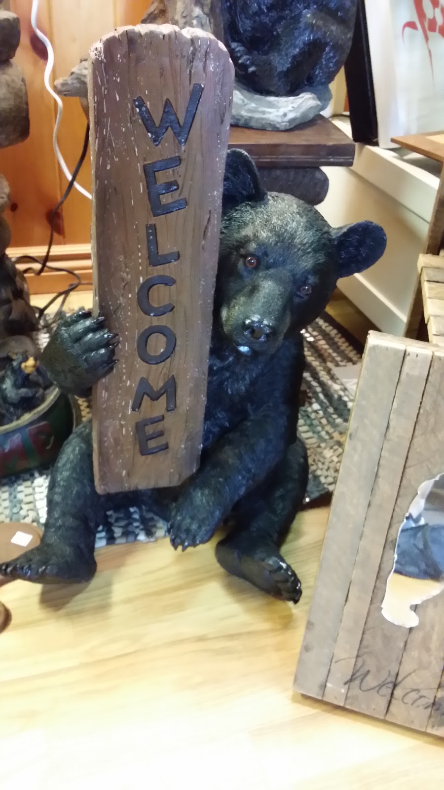 Unconventional Moose | 108575 Hwy 7, Tweed, ON K0K 3J0, Canada | Phone: (613) 478-2562