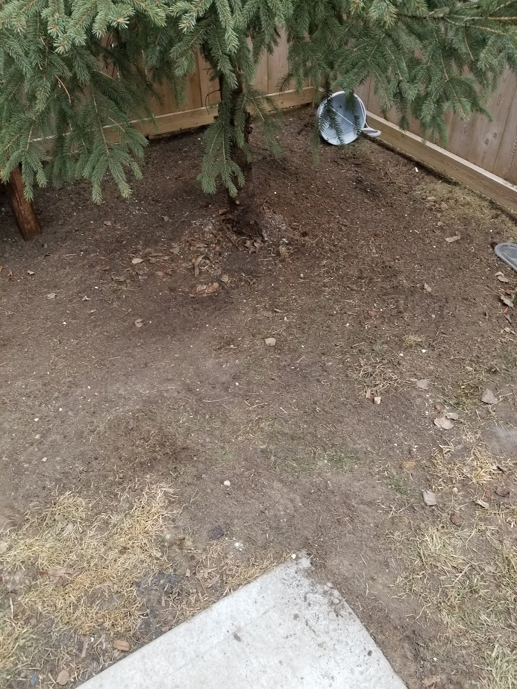 Scrappy doo doggie poo removal | 2320 Baywater Cres, Airdrie, AB T4B 0T4, Canada | Phone: (403) 478-9333