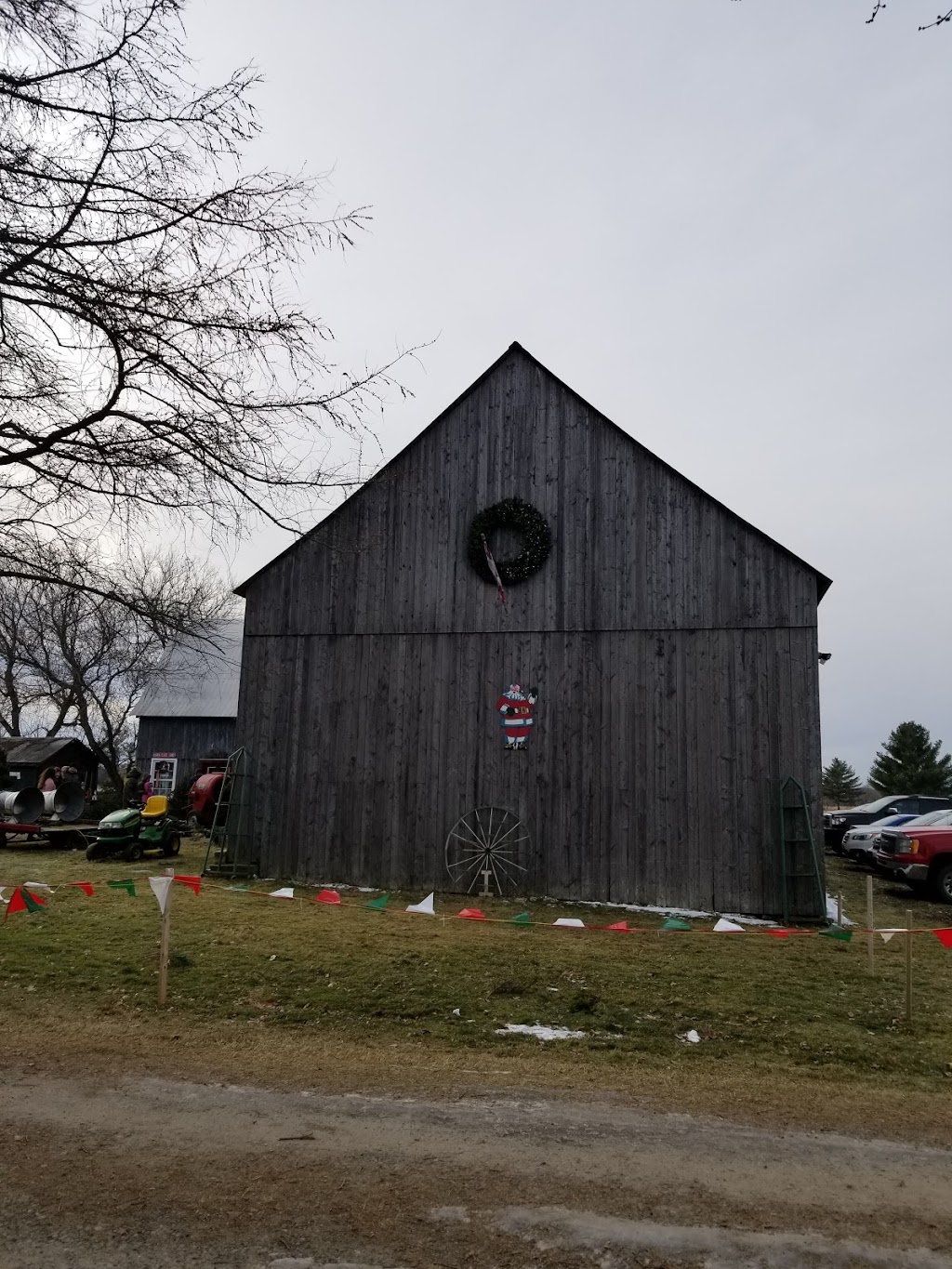 Hadley Christmas Trees / Arbres de Noël | 1600 Chem. Vide Sac, Lachute, QC J8H 2C5, Canada | Phone: (450) 562-9726