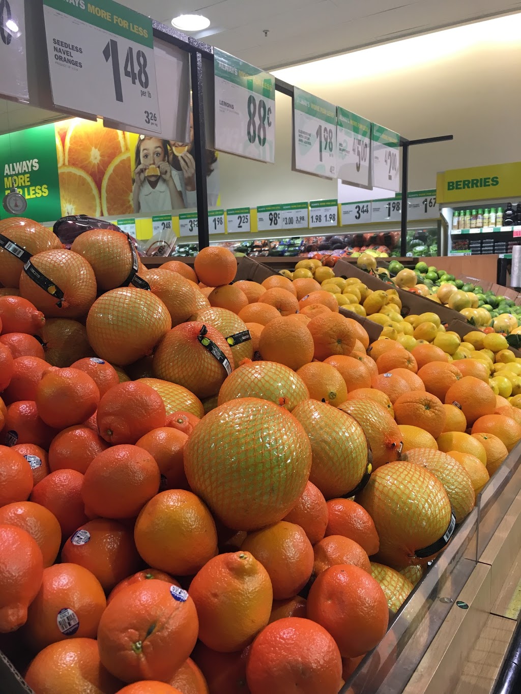 Food Basics 1000 Gerrard St E, Toronto, ON M4M 1Z4, Canada