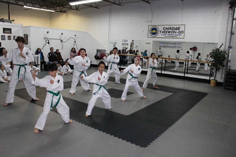 Oakridge Taekwon-Do | Unit B4, 1055 Sarnia Rd, London, ON N6H 5J9, Canada | Phone: (519) 719-7855
