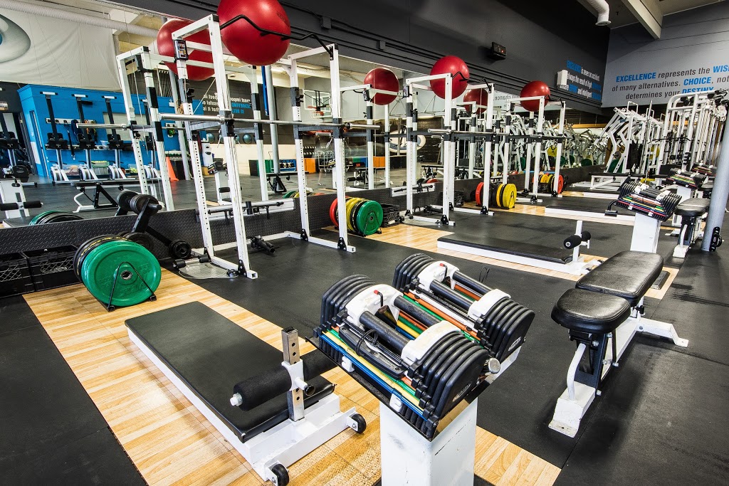 Level 10 Fitness Inc | 2124 Grant Rd B, Regina, SK S4S 5C8, Canada | Phone: (306) 337-0010