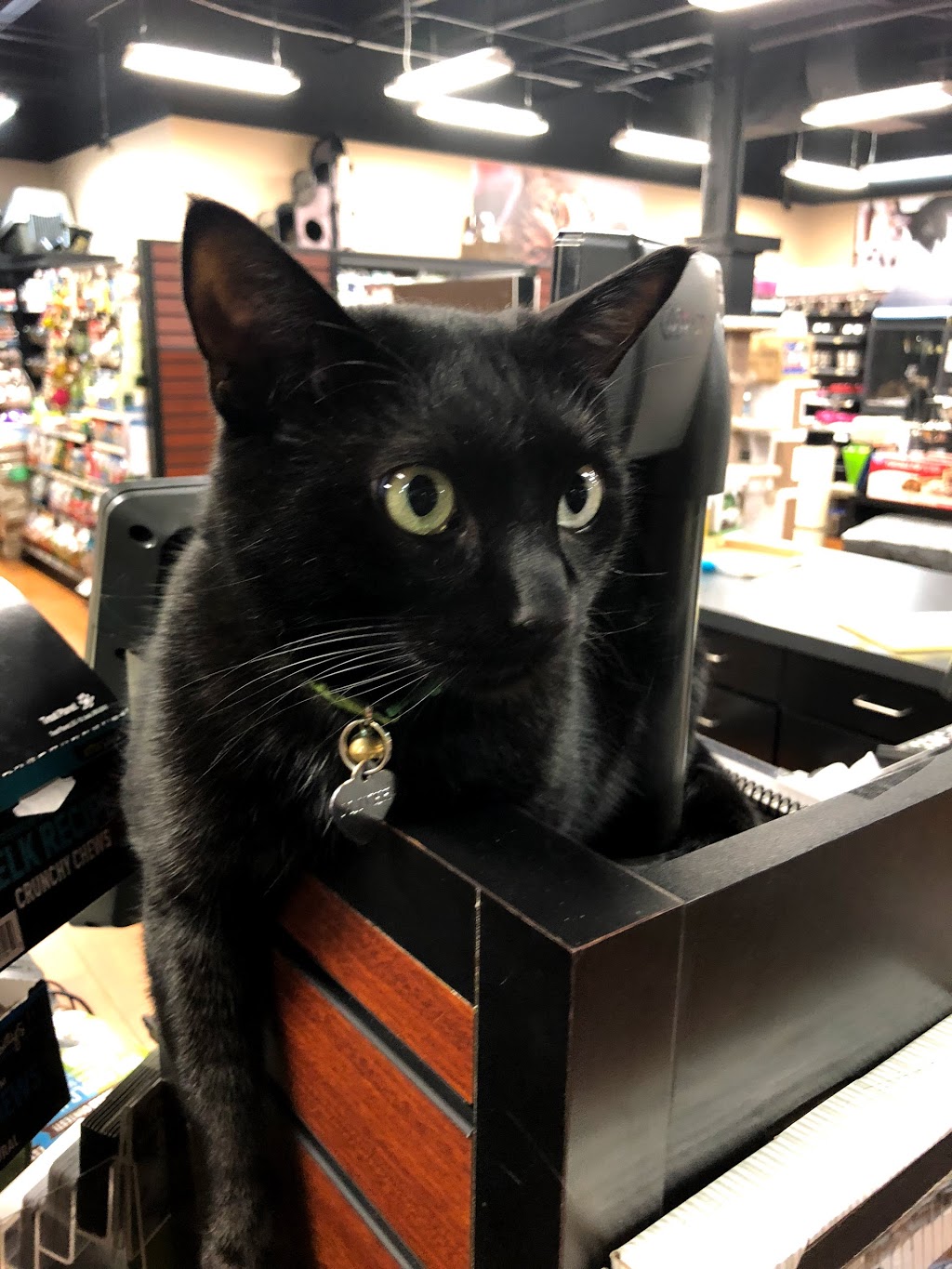 Bosleys by Pet Valu | 6466 176 St #400, Surrey, BC V3S 4G3, Canada | Phone: (604) 576-6377