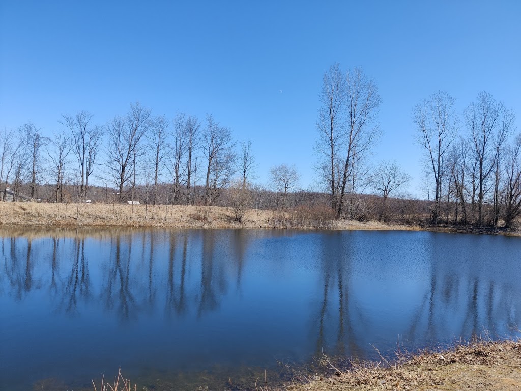 Dragons Fire Golf Club | 342 Concession Rd 8 E, Hamilton, ON L8N 2Z7, Canada | Phone: (905) 690-0069