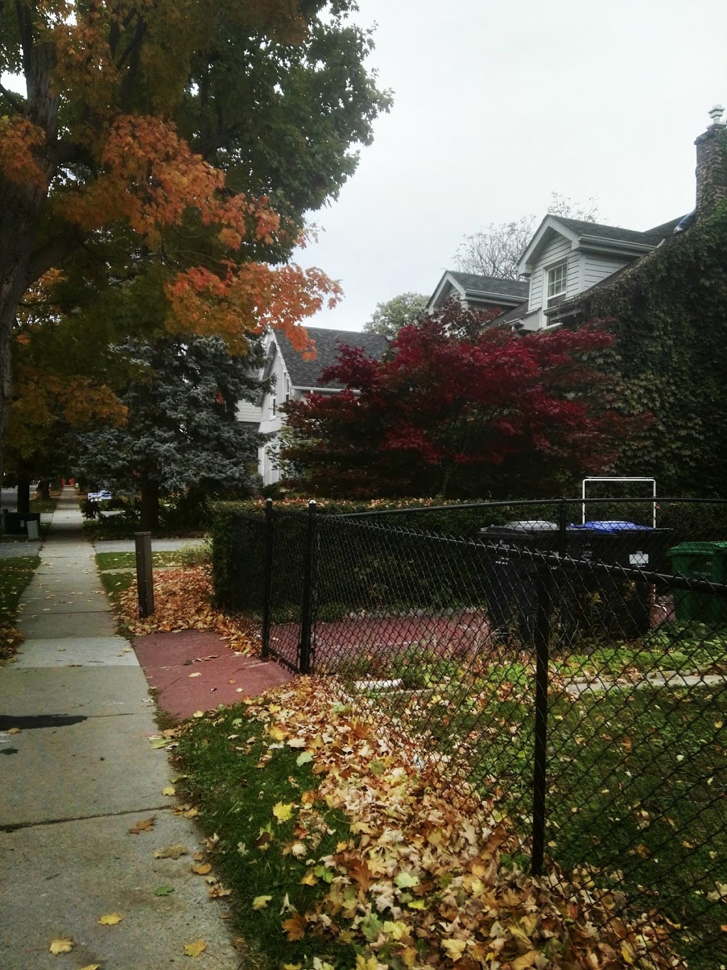 Memorial Park | 69 Elliott St, Brampton, ON L6Y 1W2, Canada
