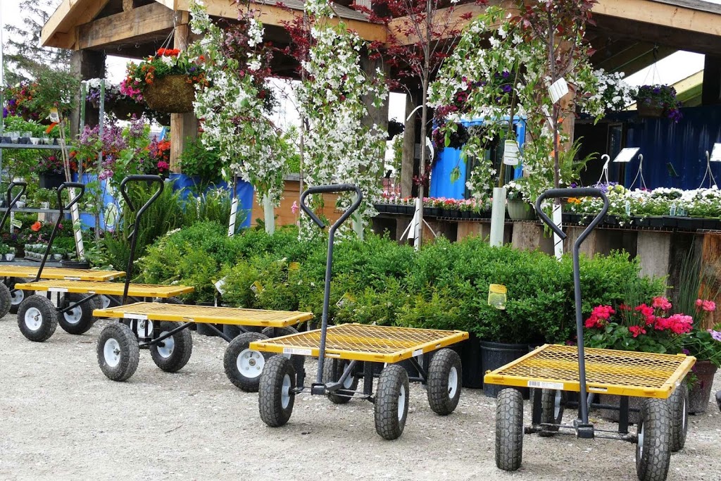 Beech Nursery | 4 Carlaw Ave, Toronto, ON M4M 2R5, Canada | Phone: (416) 461-6555