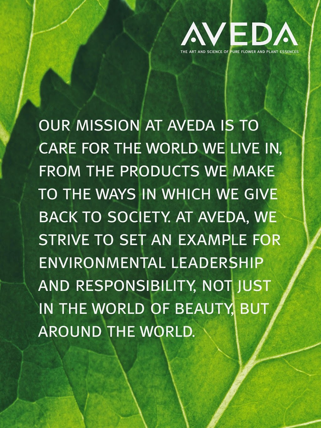 Aveda Vodka Salon | 150 Lakeshore Rd W, Mississauga, ON L5H 1G3, Canada | Phone: (905) 990-8899