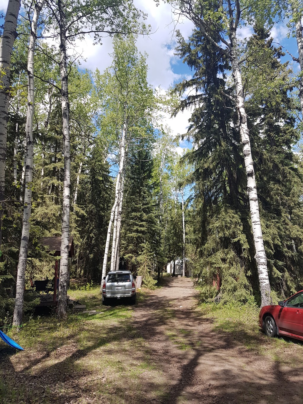 Red Lodge Guest Ranch | Range Rd 22, Bowden, AB T0M 0K0, Canada | Phone: (888) 546-6199