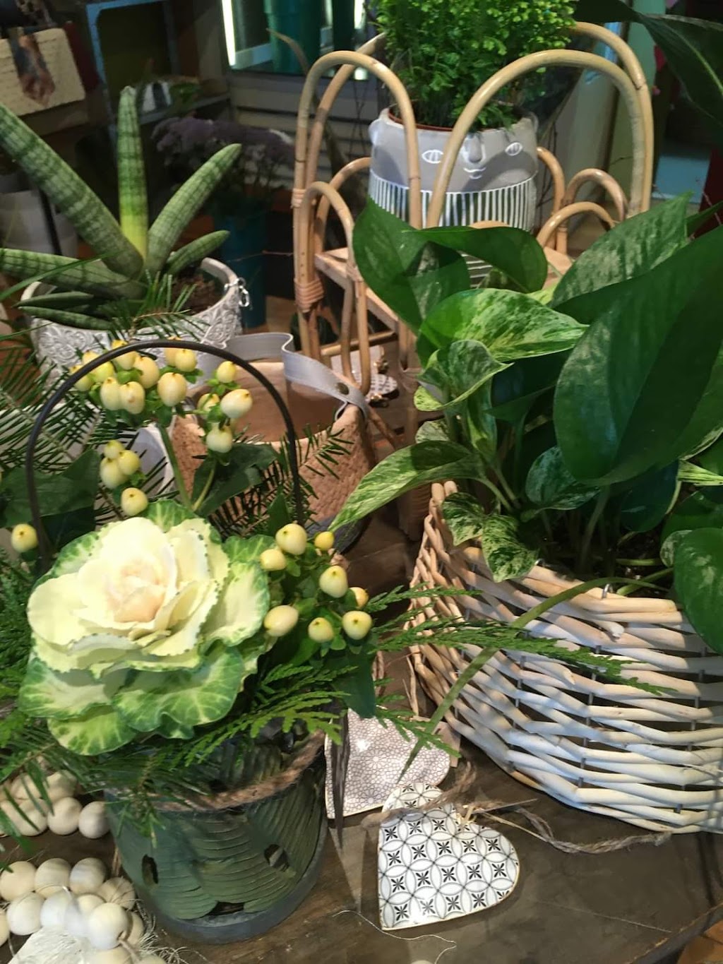 Fleuriste Shawinigan-Sud | 1605 105e Ave, Shawinigan-Sud, QC G9P 1M8, Canada | Phone: (819) 537-8989