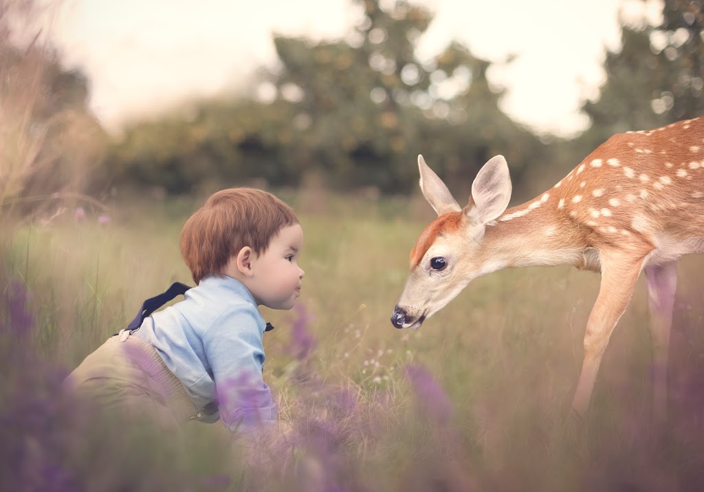 Sarah Simpson Photography & Graphic Design | 1168 Pine Crest Dr, Centreville, NS B0P 1J0, Canada | Phone: (902) 691-2330