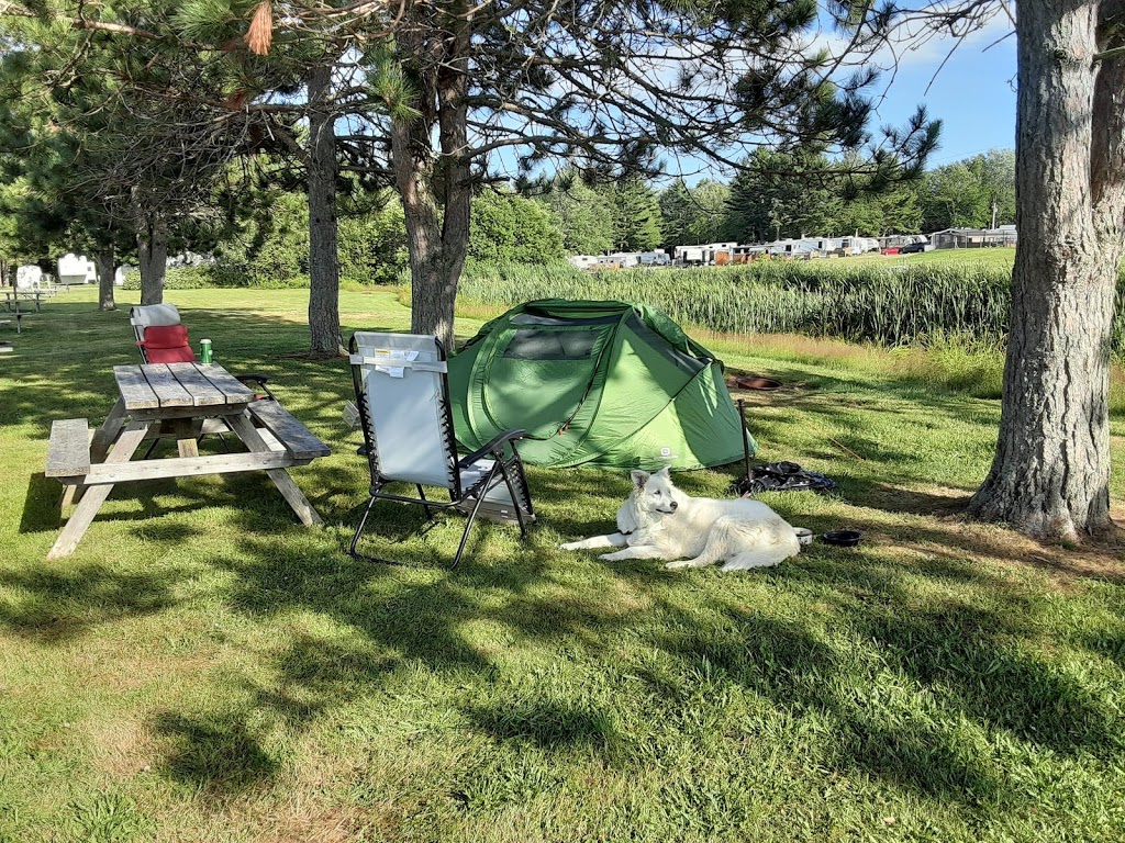 Plantation Campground | 210 W Steadman Rd, Berwick, NS B0P 1E0, Canada | Phone: (902) 538-8888