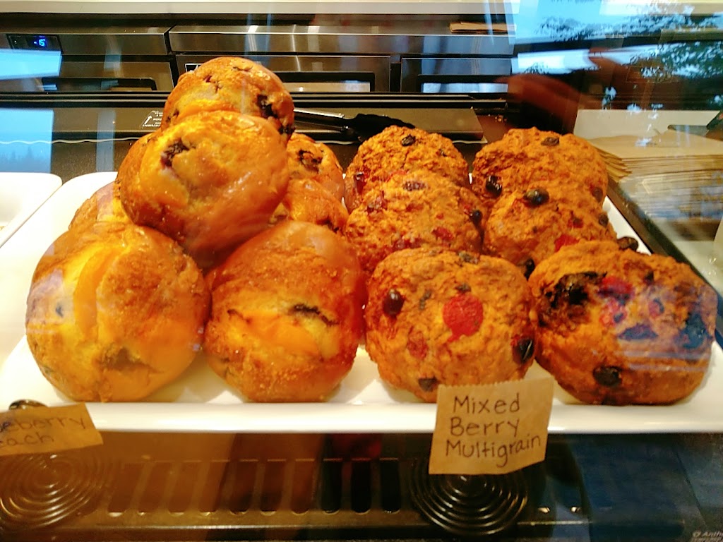 Laromas Coffee Terra Nova | 3677 Westminster Hwy, Richmond, BC V6X 2C7, Canada | Phone: (604) 207-1177
