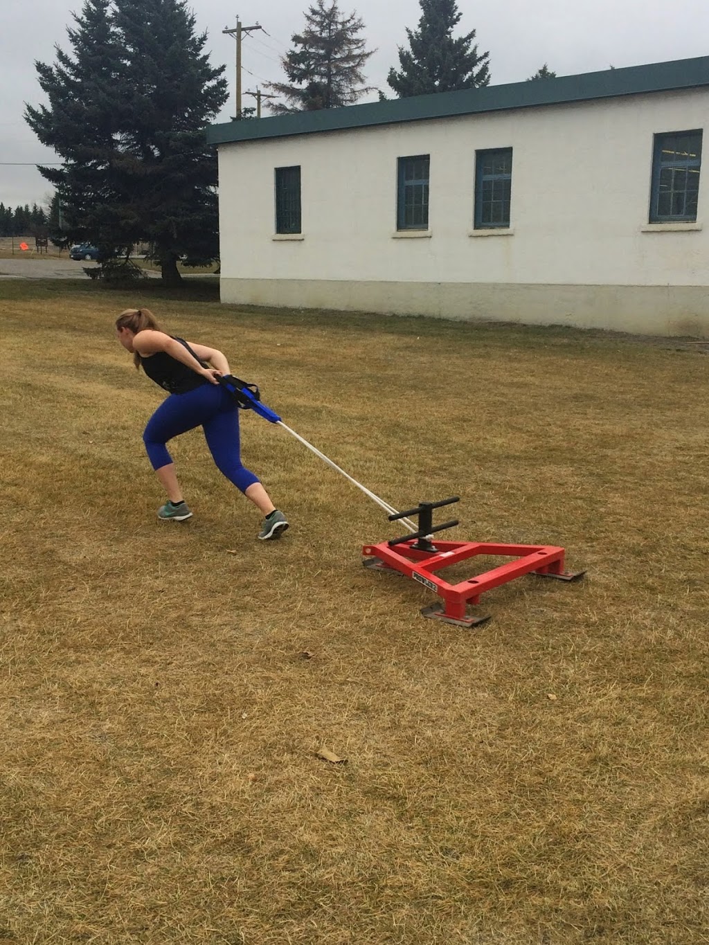 Torch Fitness | 2566 Flanders Ave SW, Calgary, AB T3E 7H9, Canada | Phone: (403) 383-2829