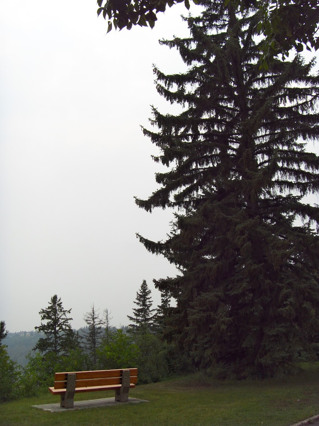 MacKinnon Food Forest | River Valley Capitol Hill, Edmonton, AB T5N 3M7, Canada