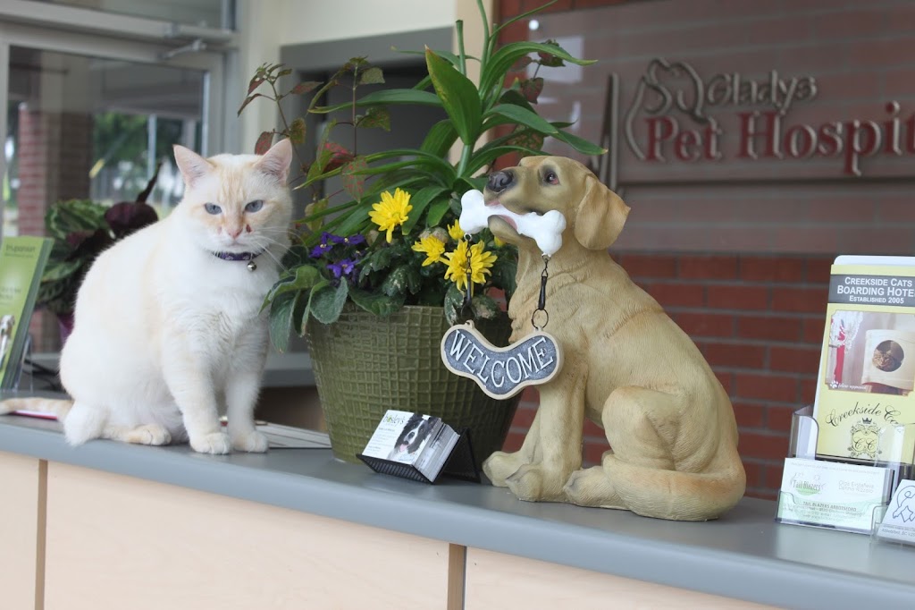 Gladys Pet Hospital | 2630 Gladys Ave, Abbotsford, BC V2S 3X7, Canada | Phone: (604) 850-2000