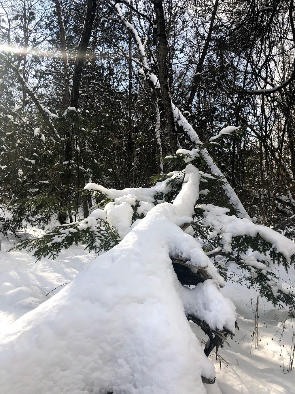 RESERVOIR/CONSERVATION AREA | Whitchurch-Stouffville, ON L0G, Canada