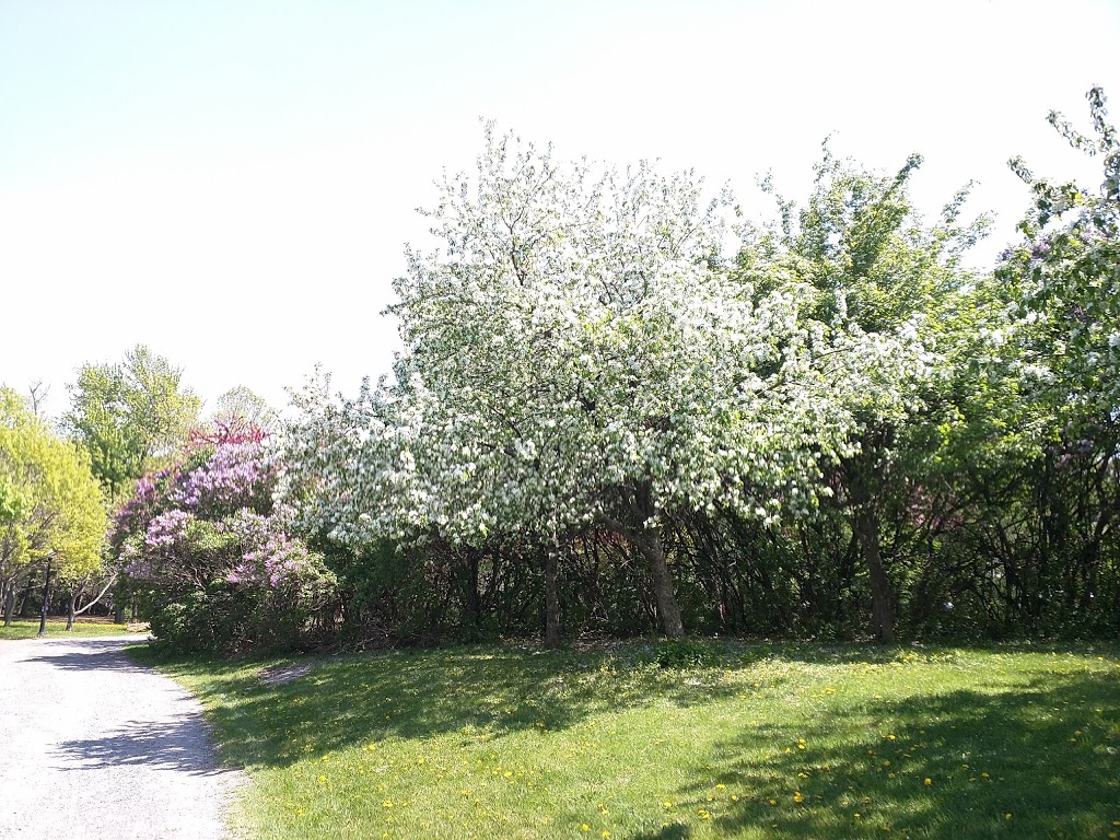 Parc Jean-Drapeau | Montreal, QC H3C 4G8, Canada