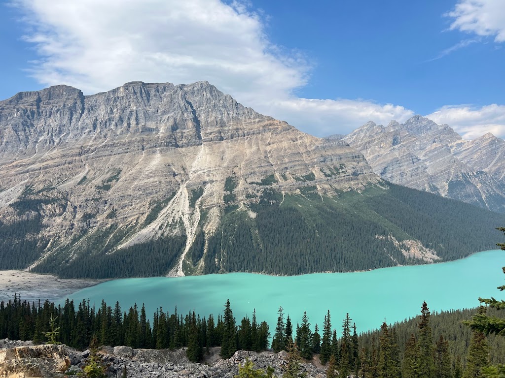 Bow Summit and Peyto Lake | park | Icefields Pkwy, Jasper, AB T0L 1E0, Canada | 4035223833 OR +1 403-522-3833