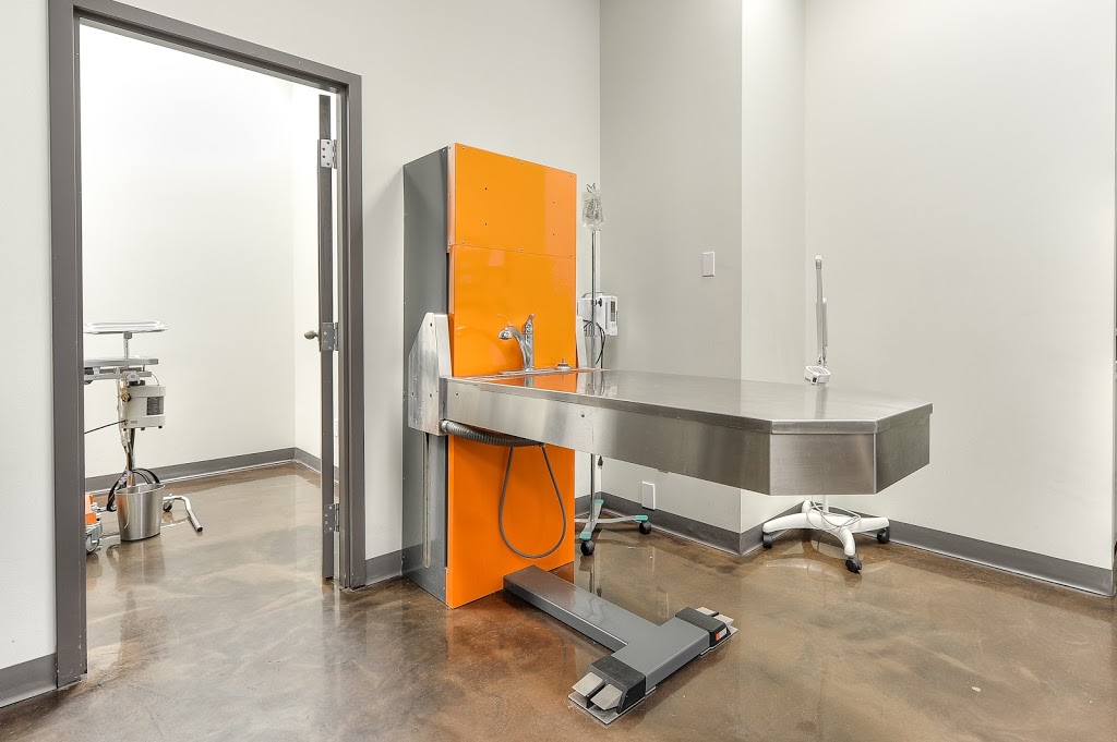 Clinique Veterinaire Passionimo La Plaine | 5581 Boulevard Laurier, Terrebonne, QC J7M 1C3, Canada | Phone: (450) 477-9662