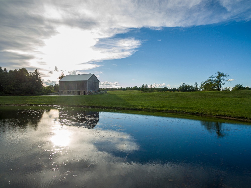 The Hummingbird Barn Venue | 5035 Wellington 125, Erin, ON L7J 2L9, Canada | Phone: (289) 349-1144