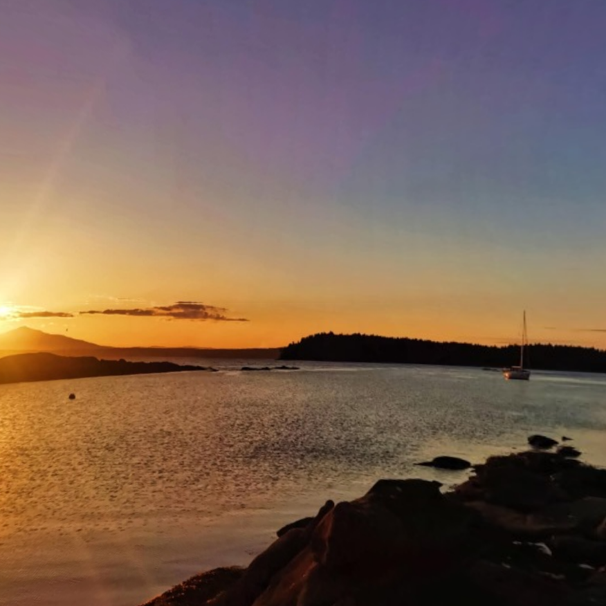 RE/MAX Petra Island Homes | Island Hwy W, Parksville, BC V9P 2B7, Canada | Phone: (250) 240-7355