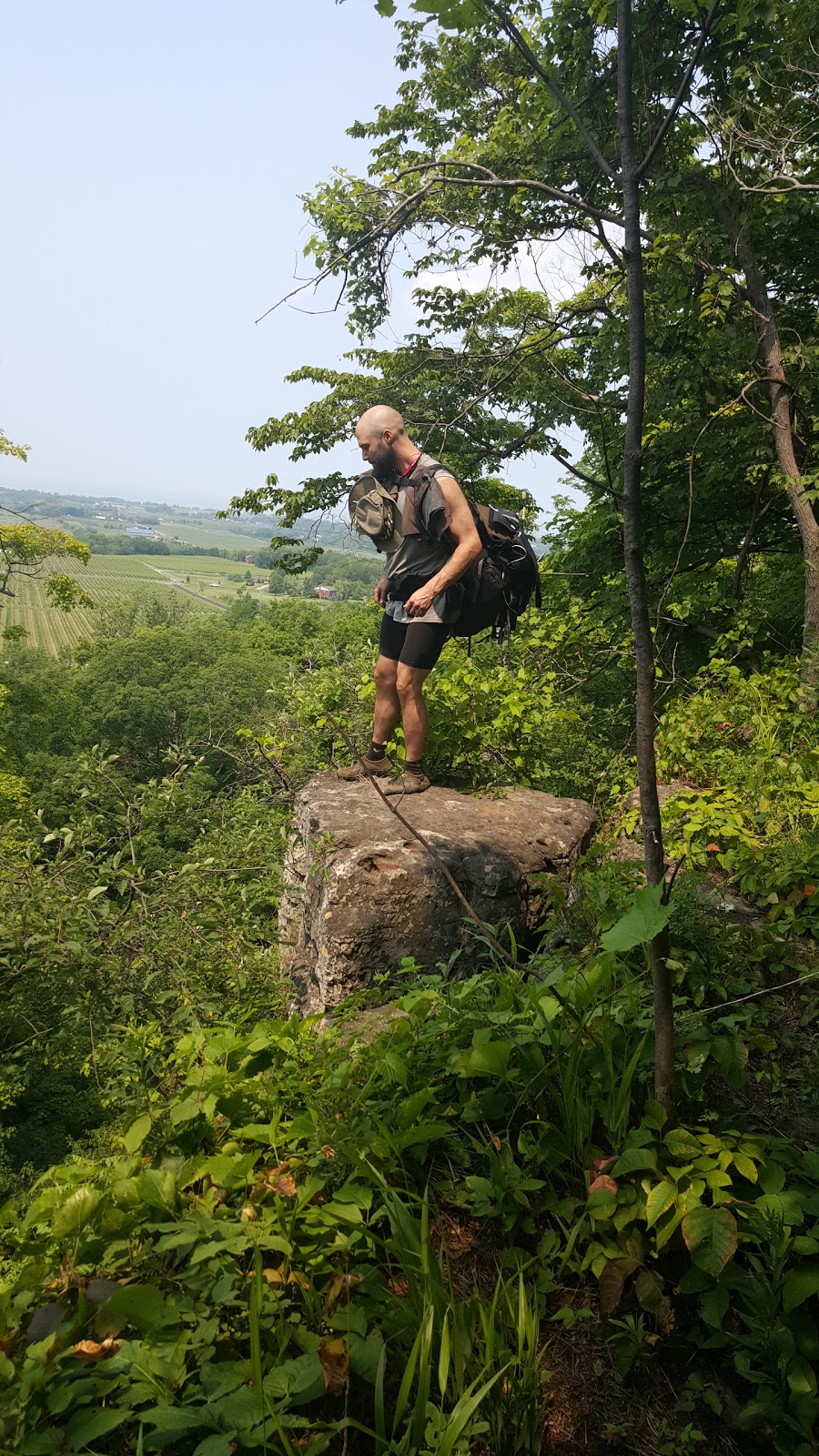 Cave Springs Conservation Area | 3949 Cave Spring Rd, Campden, ON L0R 1G0, Canada