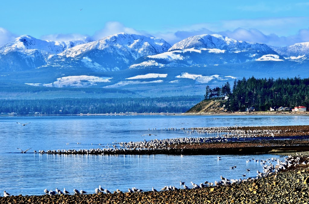 Comox Homes Real Estate John Berry | 1486 Balmoral Ave, Comox, BC V9M 2P6, Canada | Phone: (778) 992-2977