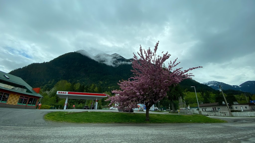 Esso | 1175 4th Ave, Hope, BC V0X 1L0, Canada | Phone: (604) 860-4422