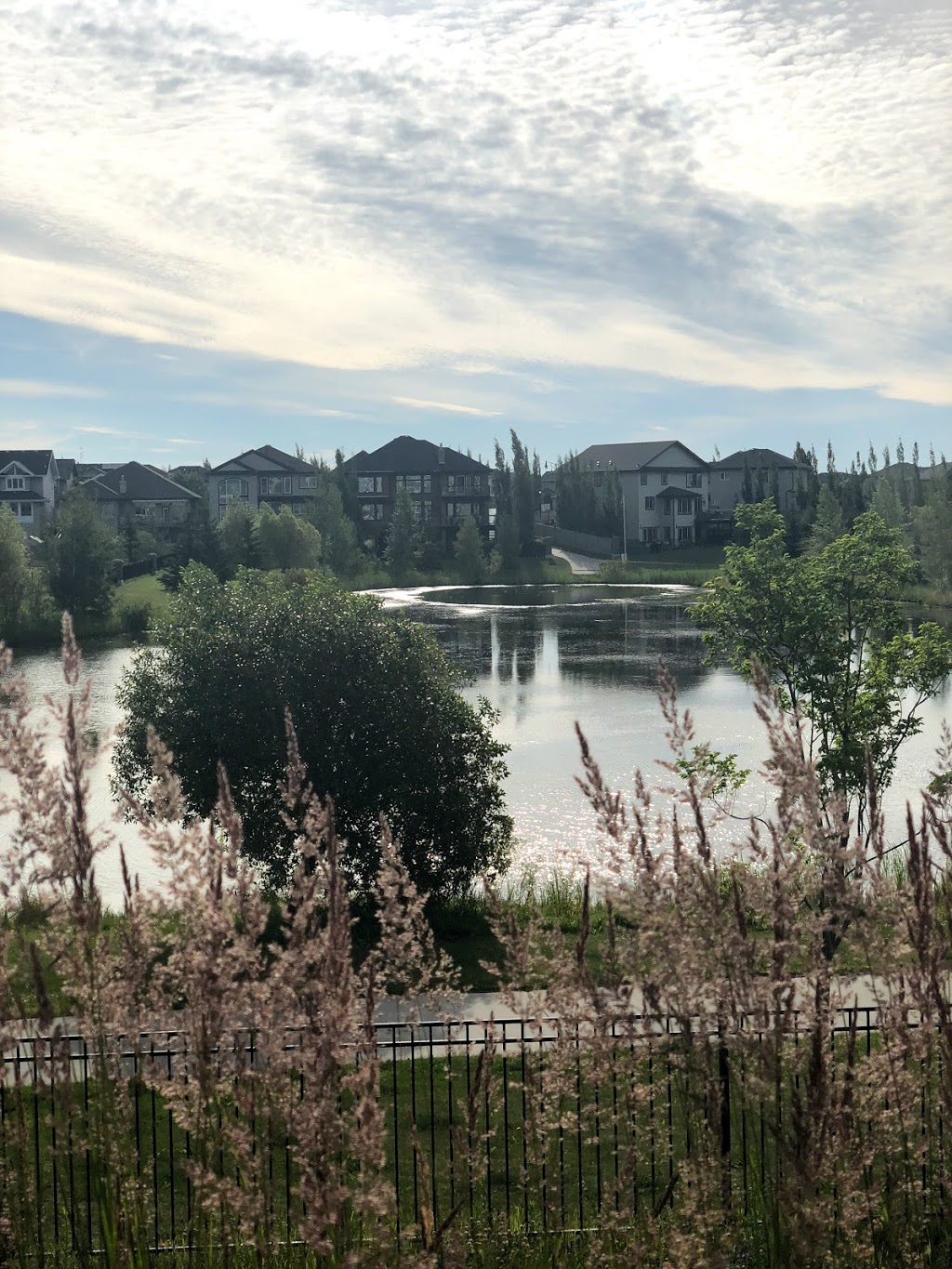 Mactaggart Pond 6059 Maynard Way NW, Edmonton, AB T6R 0H9, Canada