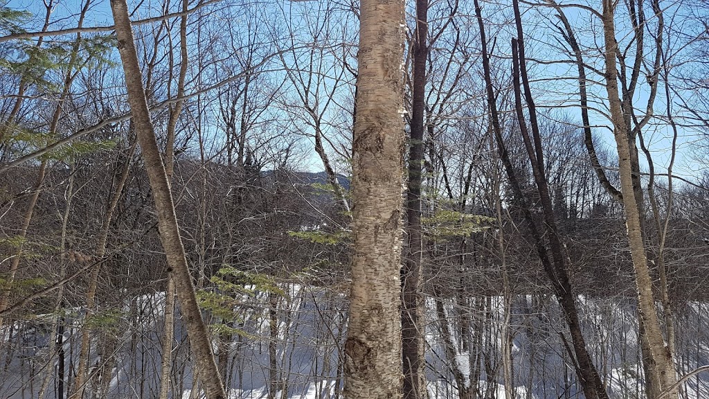 Camping et chalets ETSANHA | 1410 Route du Bras-du-Nord, Saint-Raymond, QC G3L 3J1, Canada | Phone: (418) 337-4184